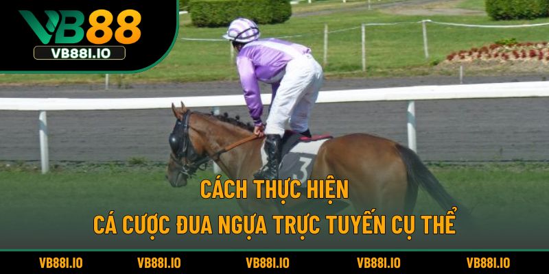 Cách thực hiện cá cược đua ngựa trực tuyến cụ thể