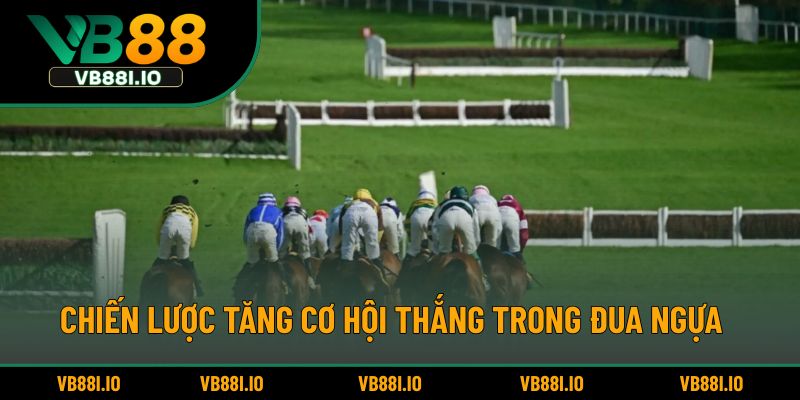 Chiến lược tăng cơ hội thắng trong đua ngựa