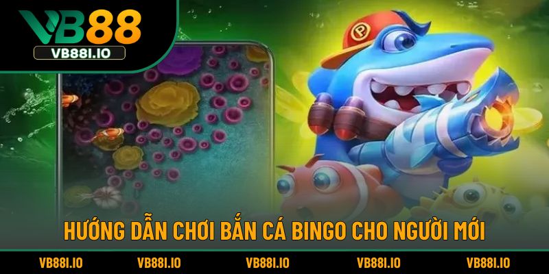 Hướng dẫn chơi bắn cá Bingo cho người mới