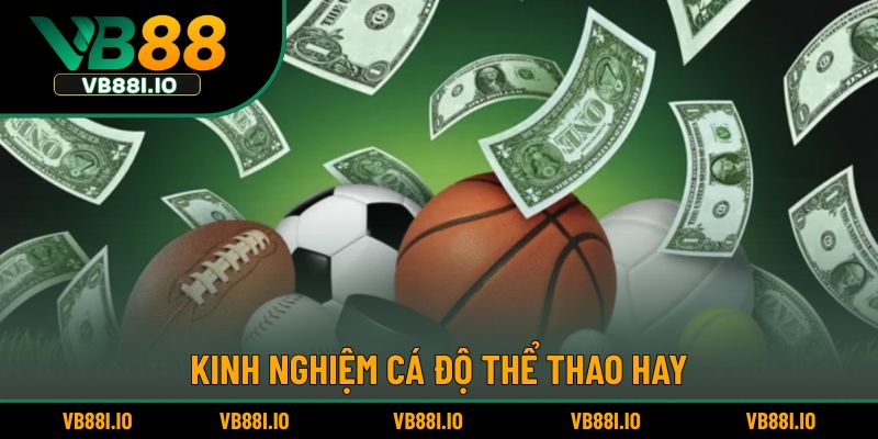 Những mẹo săn thưởng online hữu ích