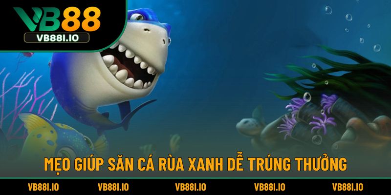 Mẹo giúp săn cá rùa xanh dễ trúng thưởng