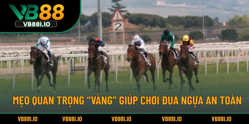 Mẹo quan trọng “vàng” giúp chơi đua ngựa an toàn
