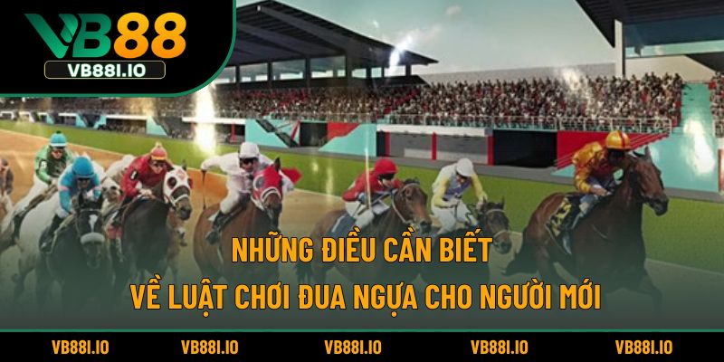 Những điều cần biết về luật chơi đua ngựa cho người mới