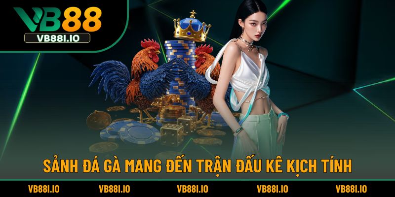 Sảnh đá gà mang đến trận đấu kê kịch tính