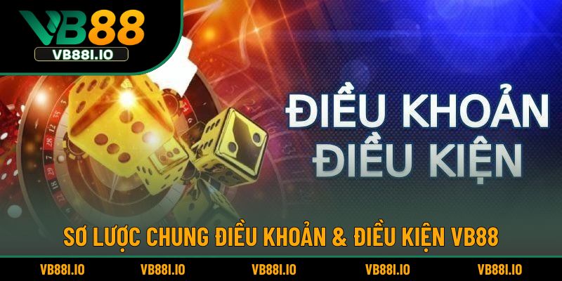 Tổng quan về chính sách điều khoản & điều kiện VB88