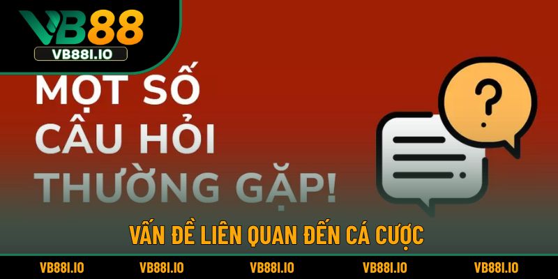 Những câu hỏi thường gặp VB88 khi săn thưởng